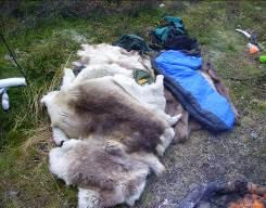 Camping Figure 16 A pile of sleeping bags and reindeer