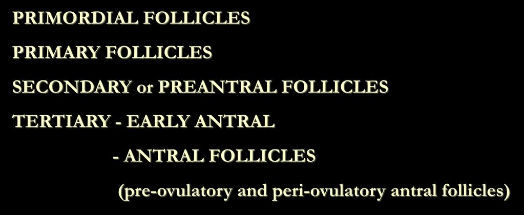 OVARIAN FOLLICLES PRIMORDIAL FOLLICLES PRIMARY FOLLICLES SECONDARY or PREANTRAL FOLLICLES
