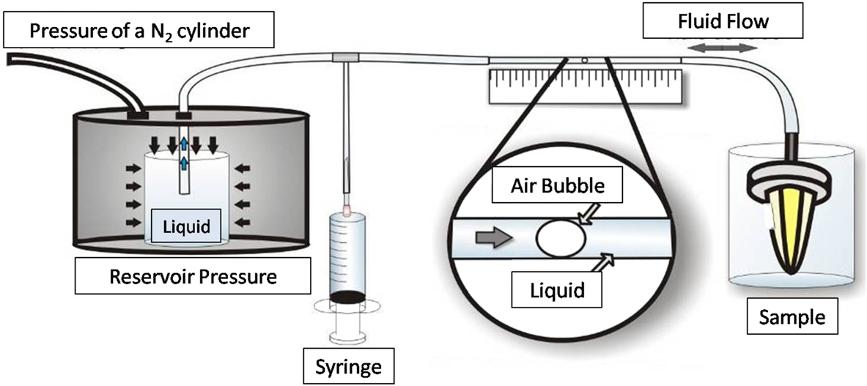 Pinto et al. BMC Research Notes 2014, 7:385 Page 3 of 6 Figure 1 Schematic presentation showing how specimens were created and how fluid permeability was measured. in each stage.