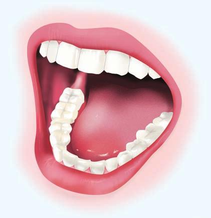 Links between Oral and General Health Remember, good oral health is critical and worthwhile. It ll Make Your Whole Body Smile You ve made a commitment to improve your oral health.