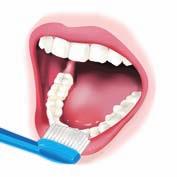 php Plaque is soft and easily removed so choose a soft toothbrush. Don t rush Brush your teeth for about 2 minutes.