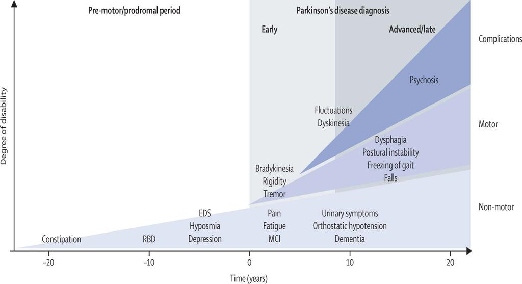 Clinical progression of PD