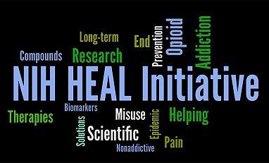 NIH HEAL: Pain Research Priorities Enhance Pain Management Understand the biological underpinnings of chronic pain Accelerate the discovery and pre-clinical development of non-addictive pain