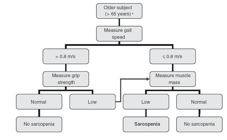 Suggested Algorithm for sarcopenia case finding in older individuals Report