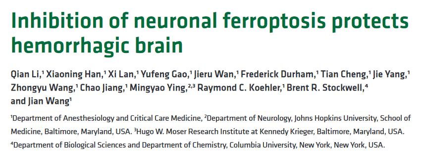 Ferroptosis As a Therapeutic Target for ICH Patients? Cell Death Mechanism Regulated Necrosis Subcategory Cell Death Inhibitor Target Conc. %Viability Ferroptosis Cycloheximide Protein synthesis 0.