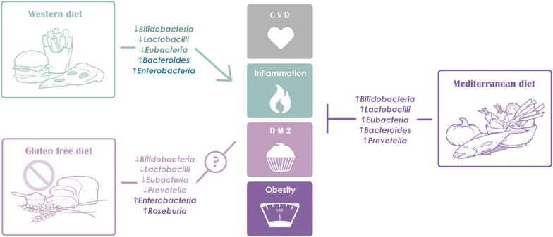 Impact of popular diets Singh et al. J Transl Med (2017)15:73 15 Lots of interest in the gut microbiota Easily influenced by diet http://www.nature.