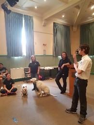 This group focuses on the rescuing and adoption of dogs that are deaf and deaf blind and with Canine Compulsive Disorder.
