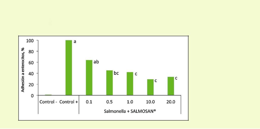 Adherence to enterocytes, % Fig. 1. Adherence of Salmonella typhimurium to intestinal cells in the presence of SALMOSAN at different concentrations (µg/ml) (adapted from Badia et al., 2012).