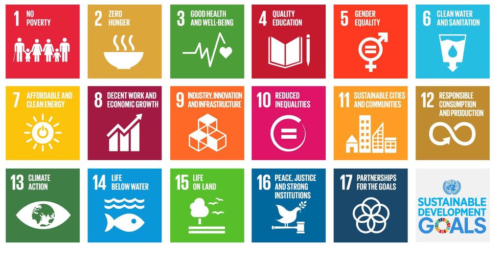 The 17 SDGs THE