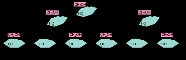 no branches - In cellulose, the glucose units are joined by a slightly different type of linkage than that of starch or glycogen. Animals are unable to foods containing this type of linkage (ie.
