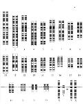 gene to protein Rett syndrome is a GENETIC condition because it