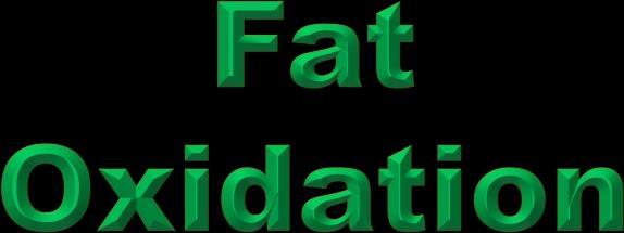 fat oxidation