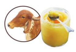 Formulation with Medicated Cow Ghee UNIQUE CONCEPT Formulation with Herbal Bio-enhancer UNIQUE CONCEPT + = Herbal Blend Cow Ghee Formulation Main Properties of Cow Ghee are : Ghee is a Yogavahi - a