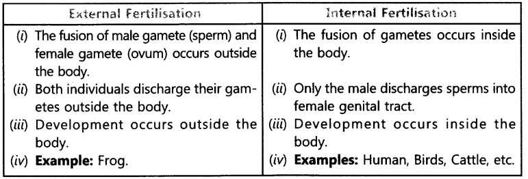 Question. 1(i) What is fertilisation? Distinguish between external fertilisation and internal fertilisation. (ii) What is the site of fertilisation in human beings?