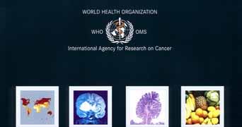 World Cancer Report 2006: Gastric Cancer 4