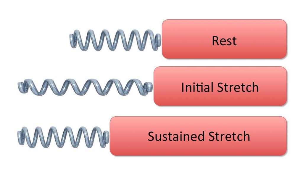 Figure 5: A depiction of tendon creep during a rapid, but sustained stretch. The red box represents a muscle while the spring represents a tendon.