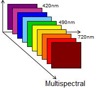Multispectral imaging separates
