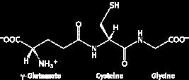 Glutathione Cysteine readily oxidizes in air to form the disulfide cystine.