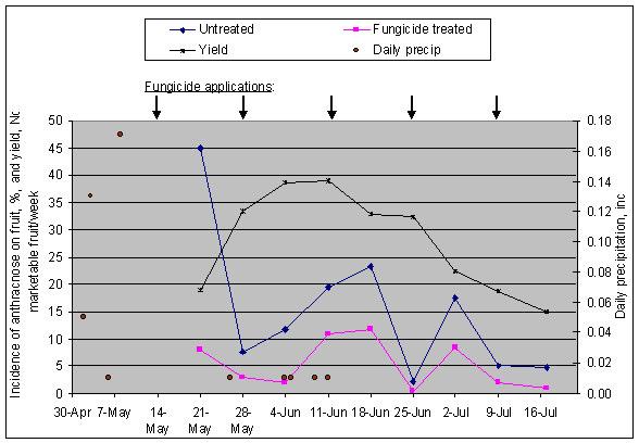 Figure 5. Fungicide applications, precipitation, yield, and anthracnose fruit disease at MBA, 2003. Table 8.