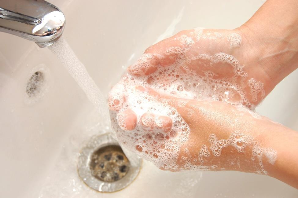 Keeping your hands clean through good hand hygiene is an important step you can take to avoid getting sick and spreading germs to others.