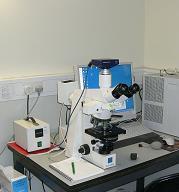 28 Figure 4. 2 : Microscope 4.4.3 Haemocytometer The haemocytometer is a device usually used and originally designed to count blood cells or parasite cells.