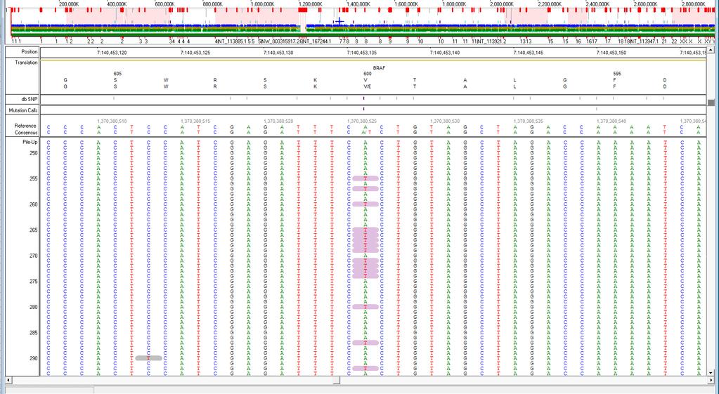 Upon examining this position in the Nextgene Browser, it was clear that the mutation was, in fact, true (see Figure 29) and thus was marked as TRUE in the review column of the program.