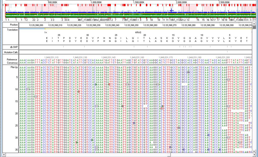 Each position in the ROI table was manually reviewed in Nextgene Browser.