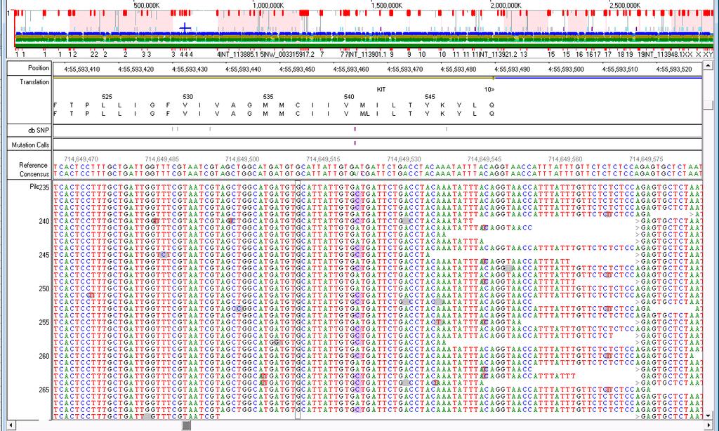 Figure 32. Sample Mutant Region in Nextgene Browser. The region depicted is codons 523-549 of the KIT gene, a common hotspot in many cancers including melanoma.