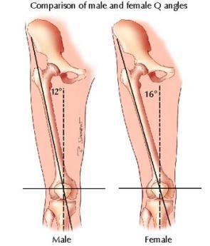 Understanding the Q Angle The Q (or quadriceps) angle is the angle formed by the tibia and the femur at the knee joint.