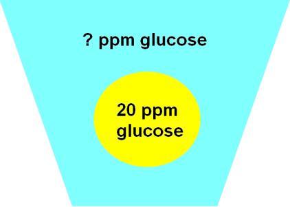If the cell below has a glucose concentration of 20 ppm, which of the following