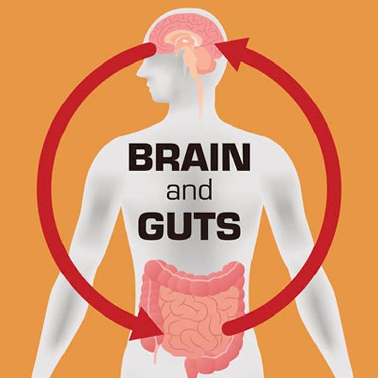 Does Parkinson s originate in the gut?