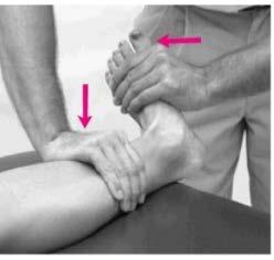 Special Tests Physical Examination of the Foot & Ankle Talar Tilt test integrity of lateral ankle ligaments or prone