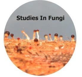 Studies in Fungi 3(1): 27 33 (2018) www.studiesinfungi.org ISSN 2465-4973 Article Doi 10.