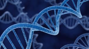 Genetic disease caused by sequence variations in a gene may not cluster in a family because of