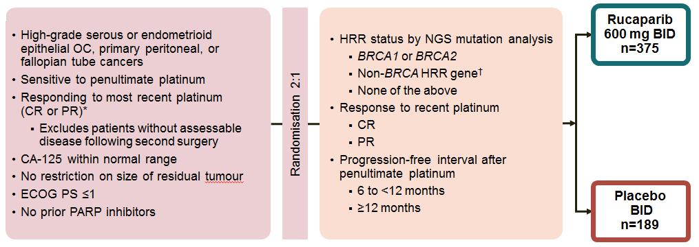 ARIEL3: a Phase 3 randomised double blind study Patient eligibility Stratification *CR (defined by RECIST v1.1) or PR (defined by RECIST v1.