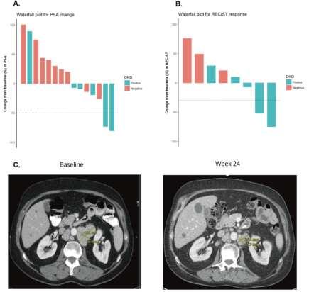 DRD tumors with respect to PSA responses (33% vs. 0%; P=0.14, nonsignificant), ORR (40% vs. 0%; P=0.46, nonsignificant), PSA-PFS (HR 0.