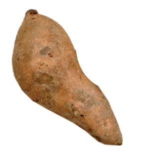 Sweet potato (Raw)