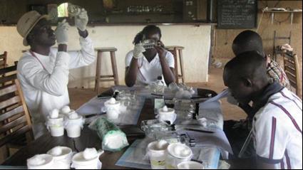 Armed in Malaria Prevention: Entomological
