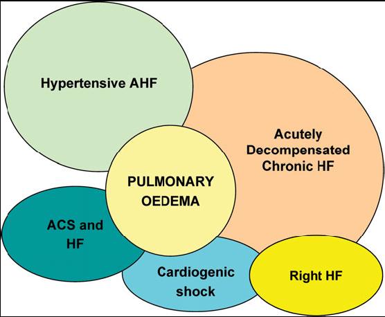 Hypertensive HF Cardiogenic Shock Isolated