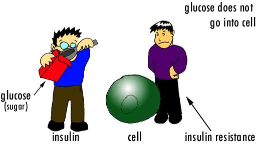 Abnormal Metabolism- Insulin Resistance Most of the diabetes seen in