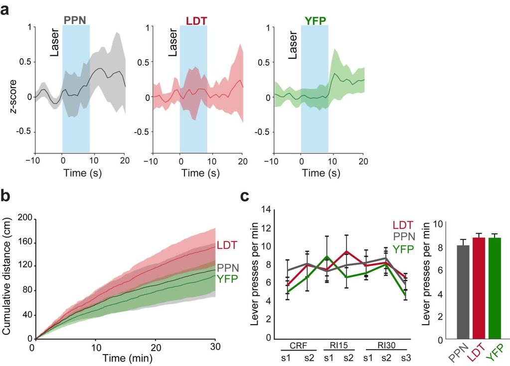 Supplementary Figure 11 Behavioral responses to the optogenetic activation of PPN and LDT axons are blocked by cholinergic receptor antagonists.
