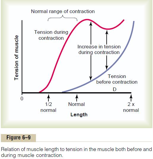 FRANK-STARLING LAW: Greater the initial length of muscle, greater is force of contraction up to certain limits.