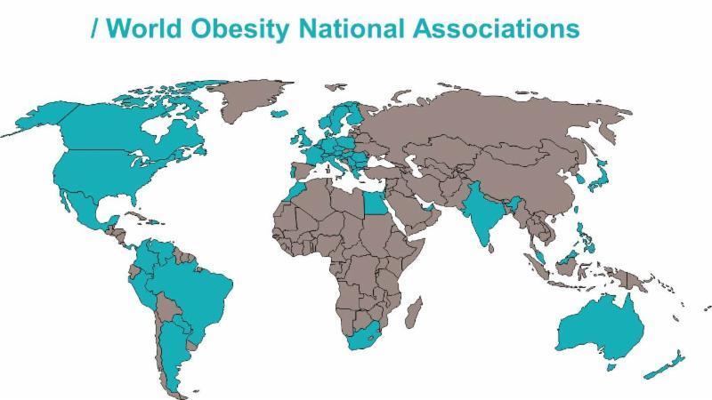 The countries that are coloured in blue have a National Association that is a member of World Obesity. We are looking for National Associations in countries not currently represented.