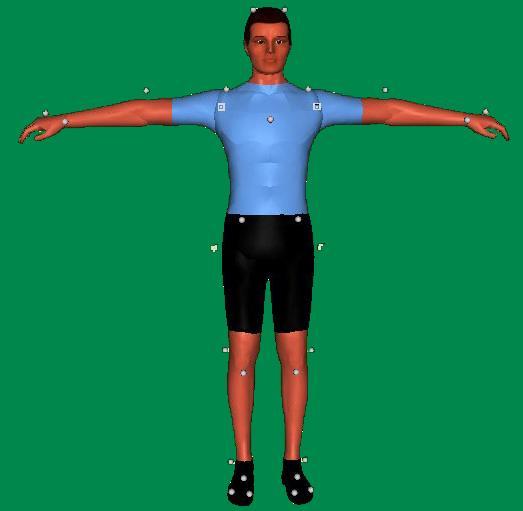 Methods: Motion Capture Instrumentation Proprietary Software by Motion Reality Inc.