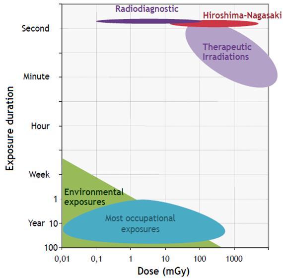 Radiation dose What is the absorbed dose? The amount of radiation energy absorbed per kilogram of tissue, expressed in units called grays (Gy).