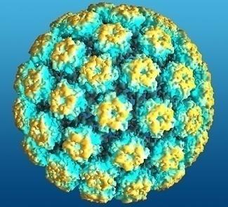 HPV vaccine: two dose series October 2016: ACIP and CDC recommended two-dose HPV series if started before age 15 9 14 years olds should receive two doses at least 6 months apart If started at 15+