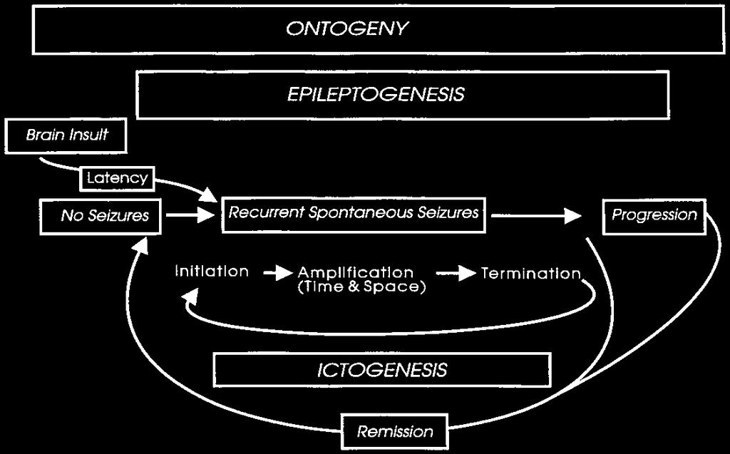Pathophysiology of Epilepsy ONTOGENY EPILEPTOGENESIS