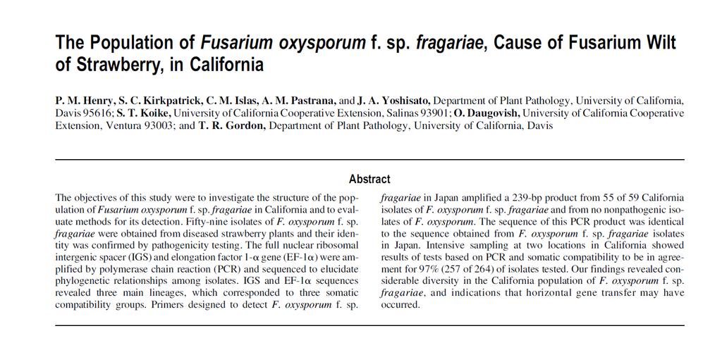 Three strains of Fusarium