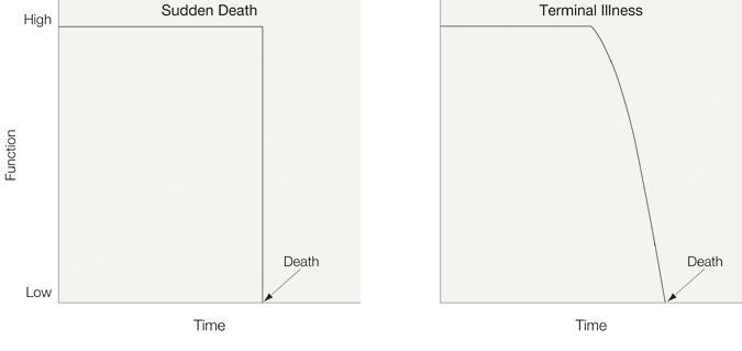 Patterns of Functional Decline at End of Life Sudden Death