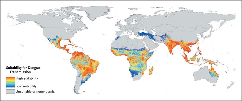Global Dengue Risk 2012.